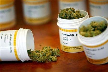 cannabis-flos