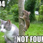 404