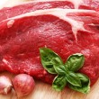 bovina