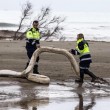 Si rompe condotta: vigili fuoco, carburante in mare