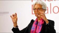 FMI referendum Brexit