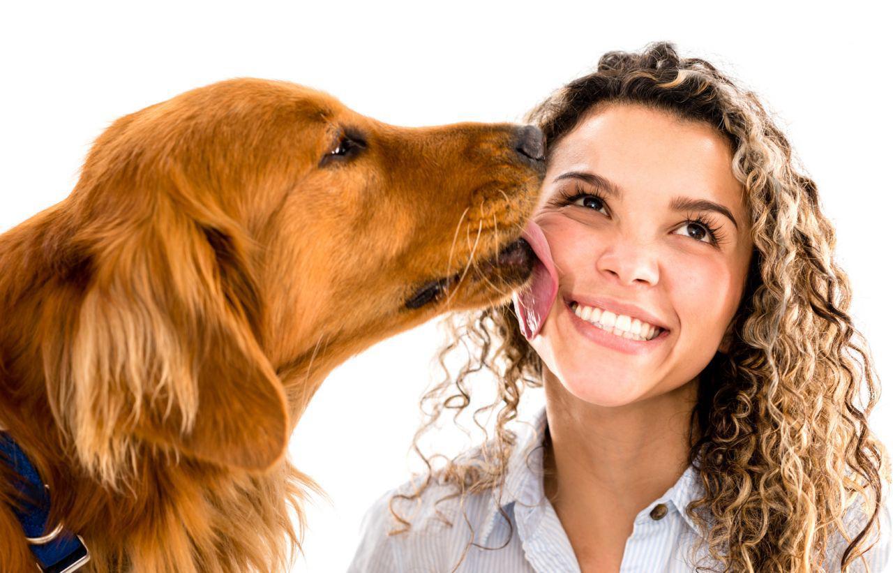 leccata cane
